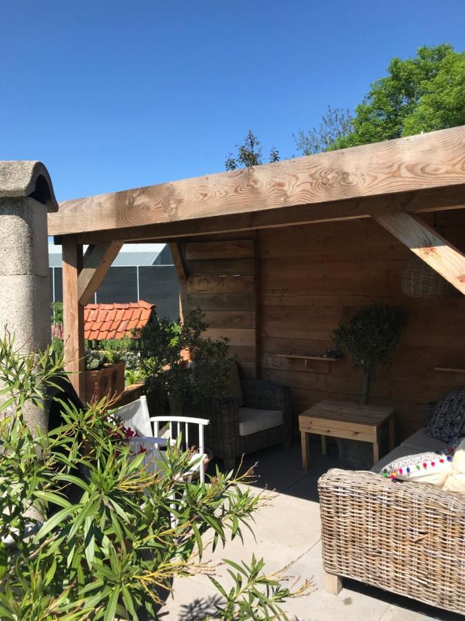 Birdy Villa Vogelenzang Екстериор снимка